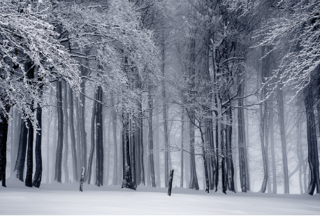 GA黄金甲-C罗终章：2026世界杯后告别国家队