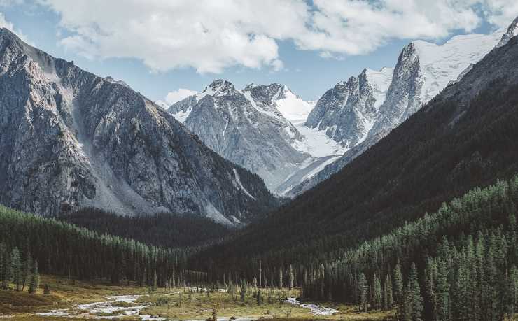 GA黄金甲-2026世界杯预选赛：免费观赛App全攻略